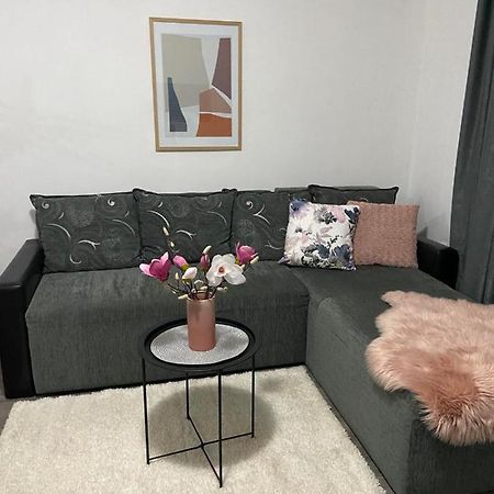 Apartman Aleksic Jagodina Buitenkant foto