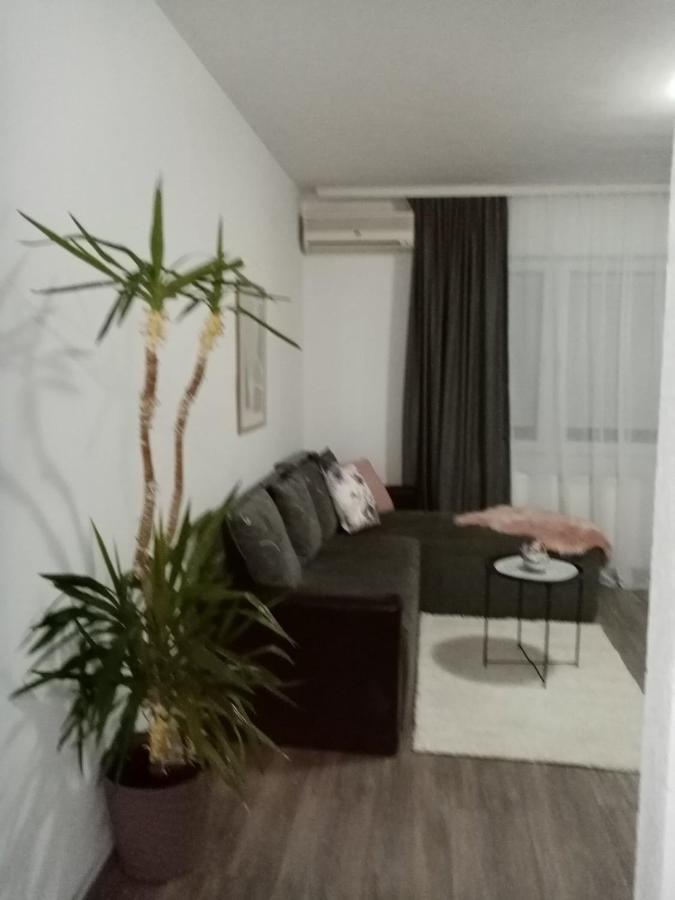 Apartman Aleksic Jagodina Buitenkant foto