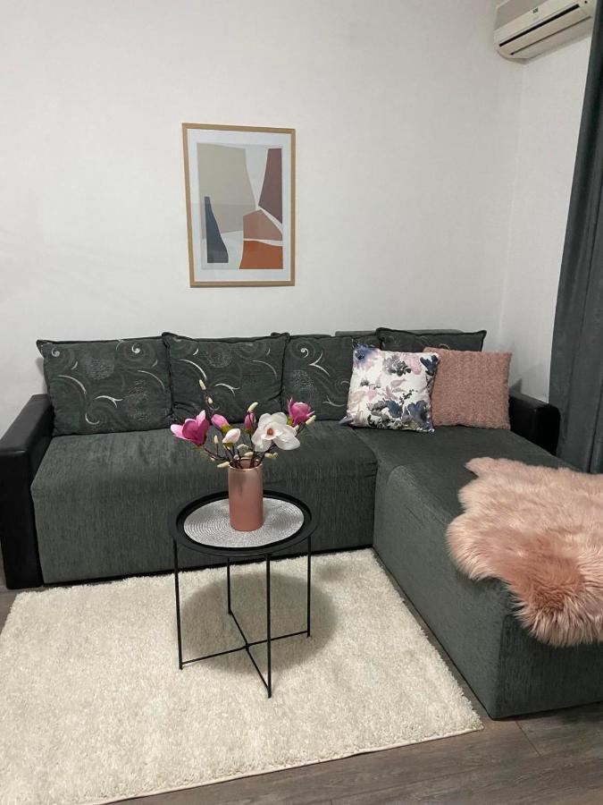 Apartman Aleksic Jagodina Buitenkant foto