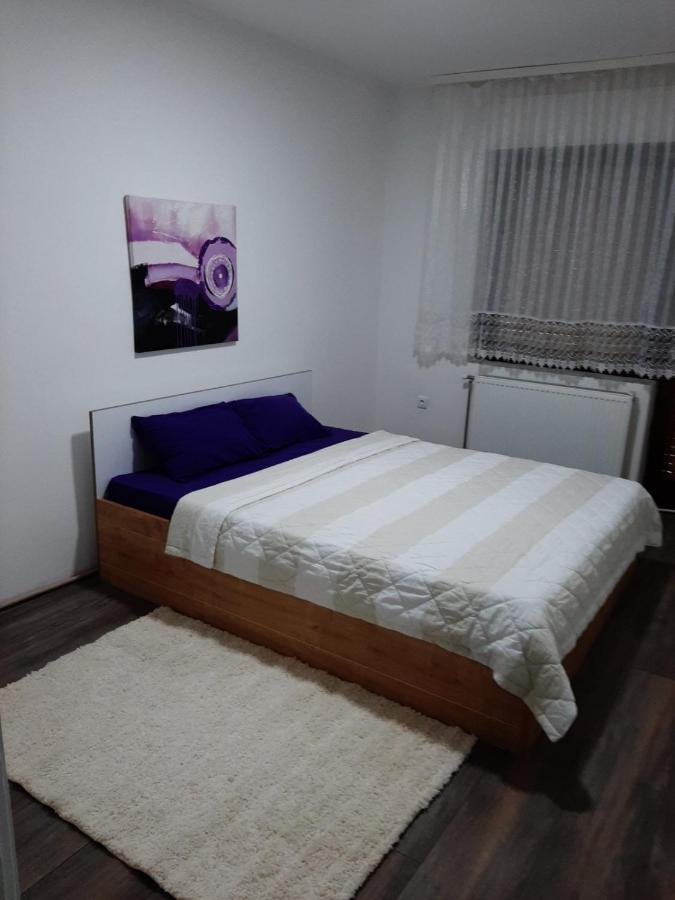 Apartman Aleksic Jagodina Buitenkant foto