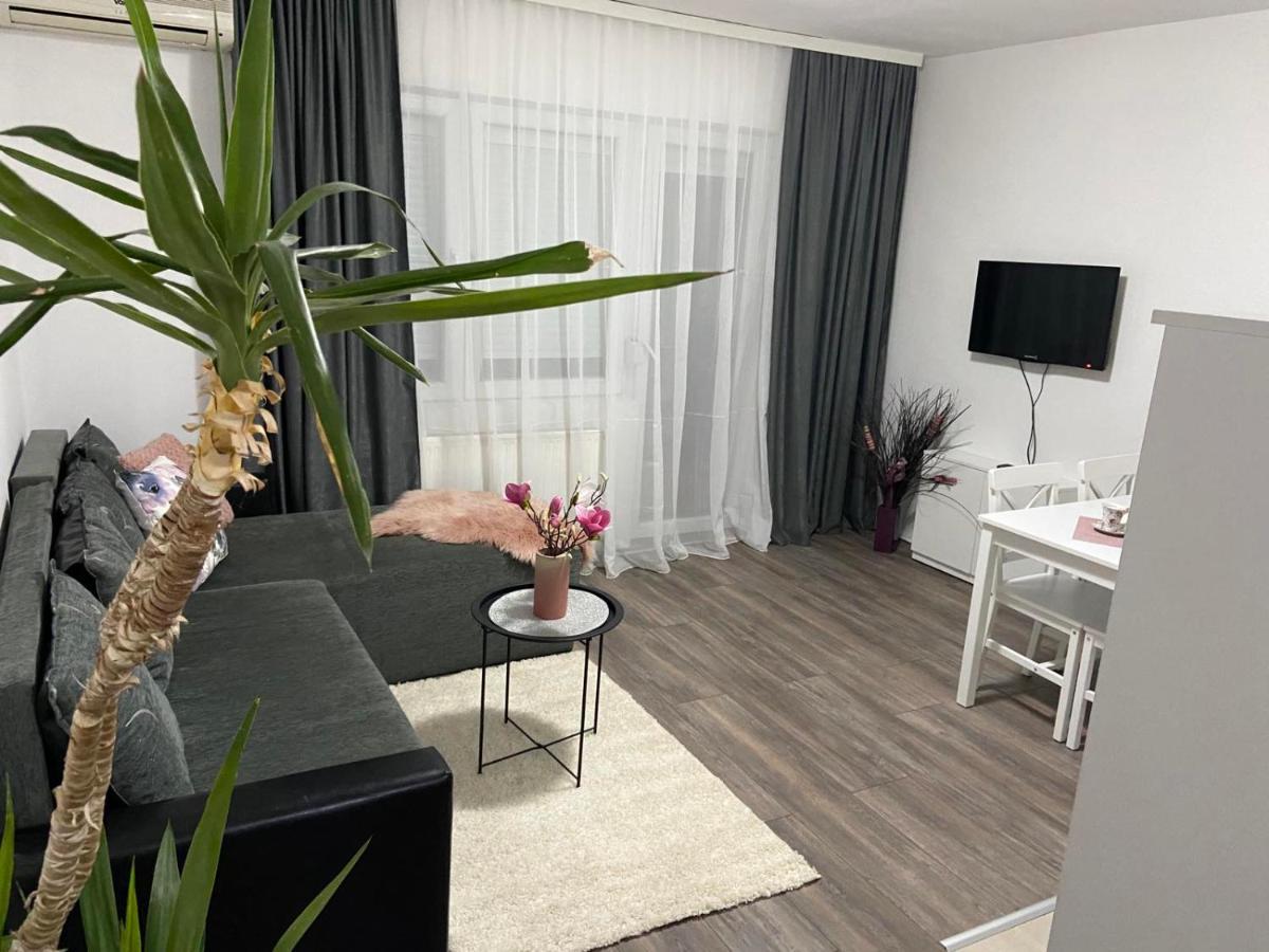 Apartman Aleksic Jagodina Buitenkant foto