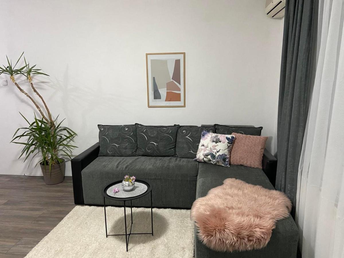 Apartman Aleksic Jagodina Buitenkant foto